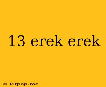 13 Erek Erek