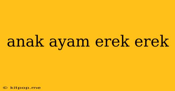 Anak Ayam Erek Erek