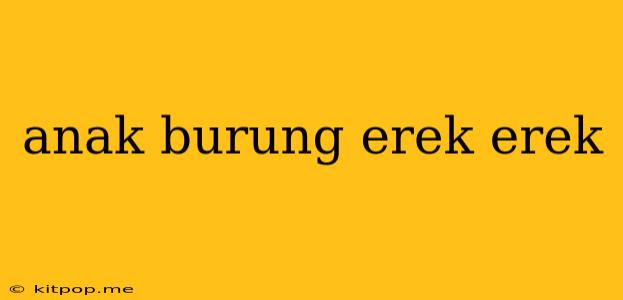 Anak Burung Erek Erek