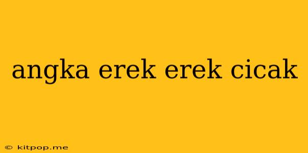 Angka Erek Erek Cicak