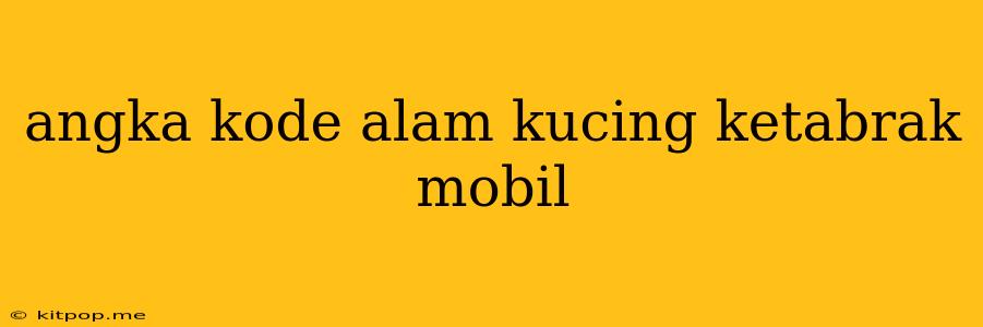 Angka Kode Alam Kucing Ketabrak Mobil