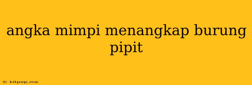 Angka Mimpi Menangkap Burung Pipit