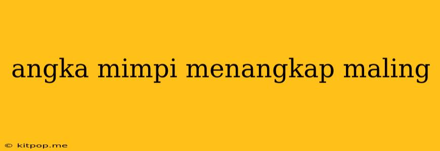 Angka Mimpi Menangkap Maling