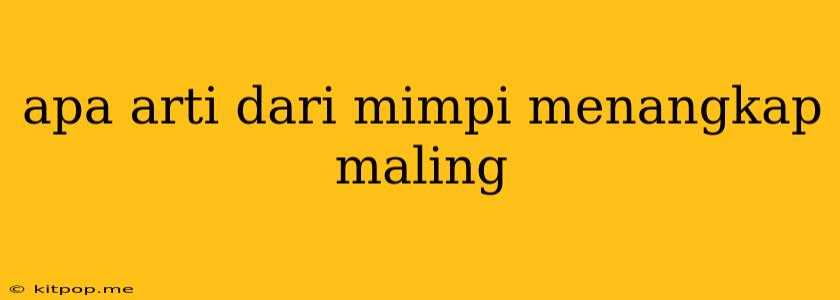 Apa Arti Dari Mimpi Menangkap Maling