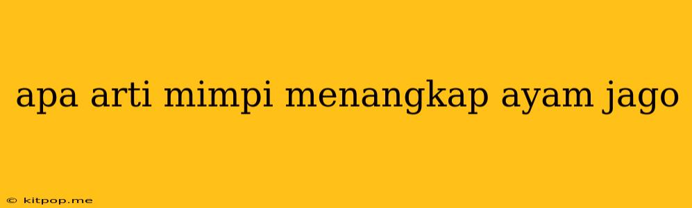 Apa Arti Mimpi Menangkap Ayam Jago