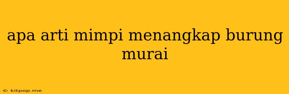 Apa Arti Mimpi Menangkap Burung Murai