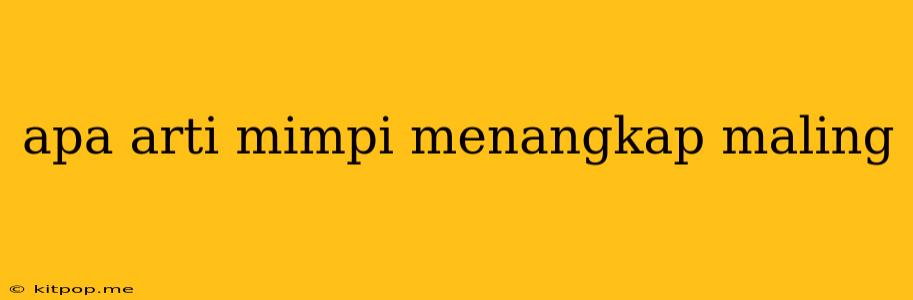 Apa Arti Mimpi Menangkap Maling