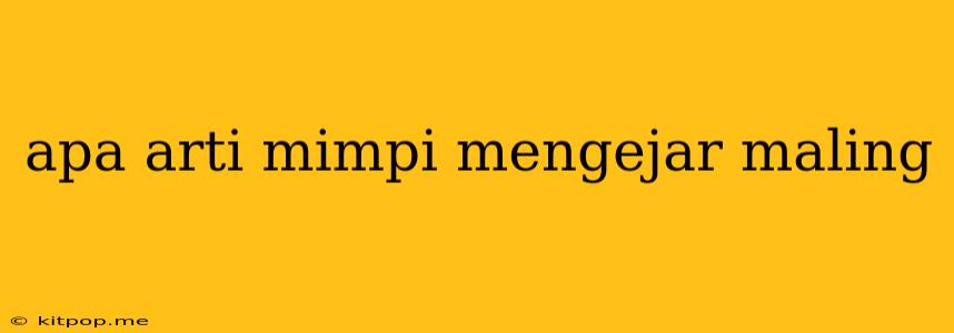 Apa Arti Mimpi Mengejar Maling