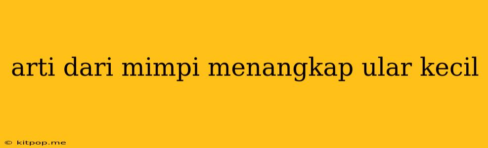 Arti Dari Mimpi Menangkap Ular Kecil