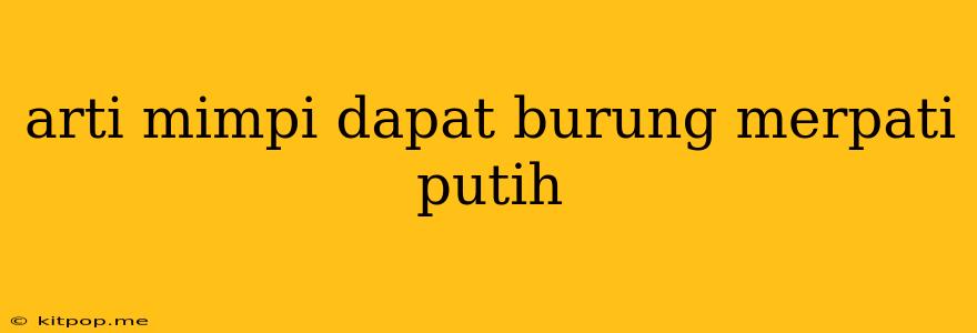 Arti Mimpi Dapat Burung Merpati Putih