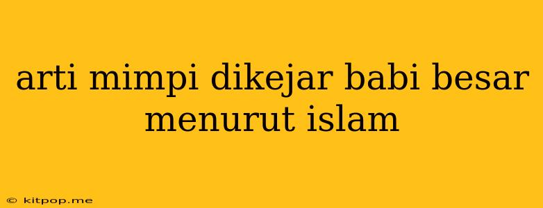 Arti Mimpi Dikejar Babi Besar Menurut Islam