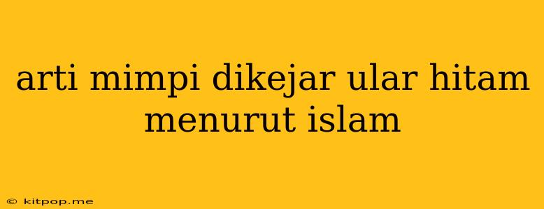 Arti Mimpi Dikejar Ular Hitam Menurut Islam