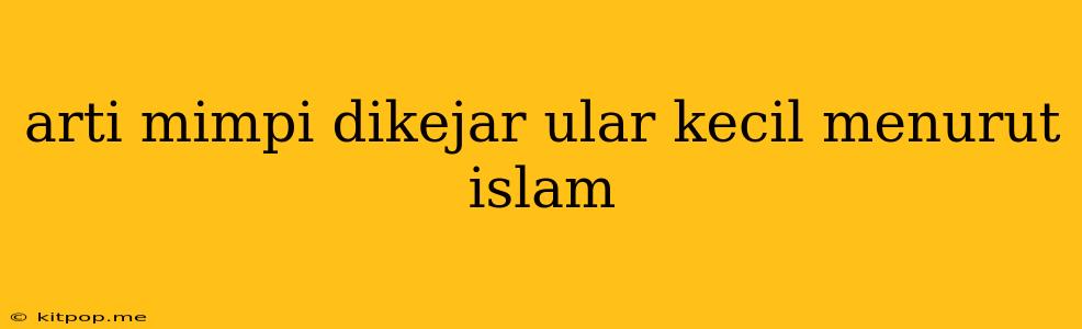 Arti Mimpi Dikejar Ular Kecil Menurut Islam