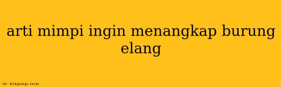 Arti Mimpi Ingin Menangkap Burung Elang