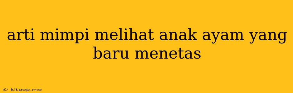 Arti Mimpi Melihat Anak Ayam Yang Baru Menetas