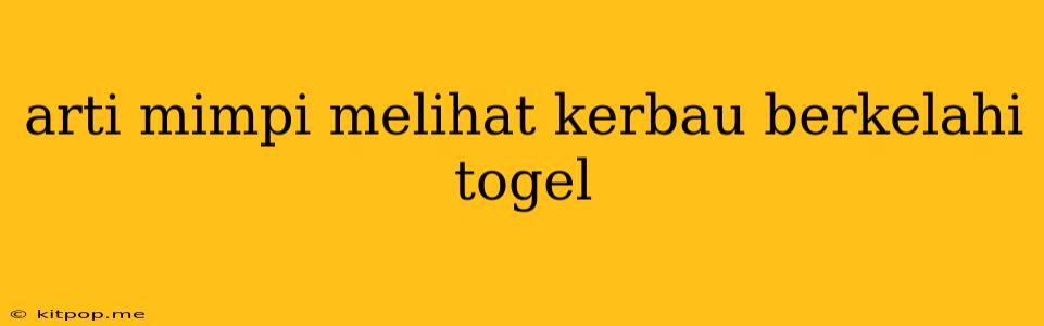 Arti Mimpi Melihat Kerbau Berkelahi Togel