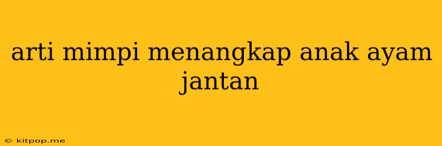 Arti Mimpi Menangkap Anak Ayam Jantan