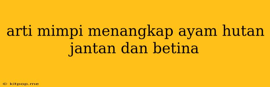 Arti Mimpi Menangkap Ayam Hutan Jantan Dan Betina