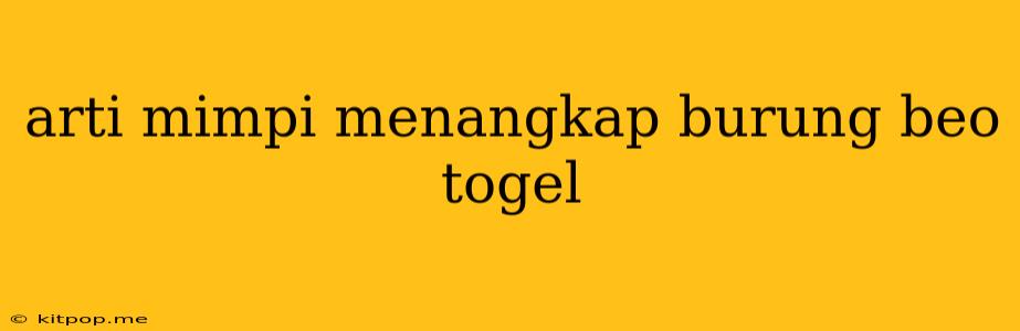 Arti Mimpi Menangkap Burung Beo Togel