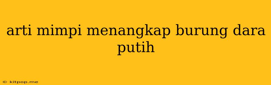 Arti Mimpi Menangkap Burung Dara Putih