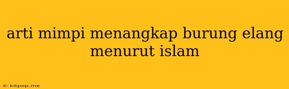 Arti Mimpi Menangkap Burung Elang Menurut Islam