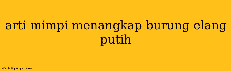 Arti Mimpi Menangkap Burung Elang Putih