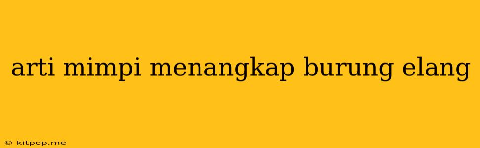 Arti Mimpi Menangkap Burung Elang