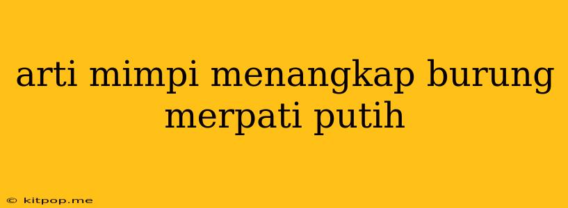 Arti Mimpi Menangkap Burung Merpati Putih