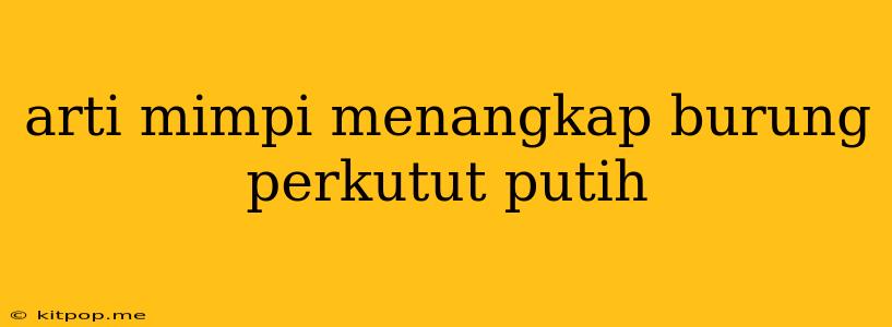 Arti Mimpi Menangkap Burung Perkutut Putih