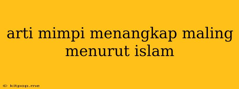 Arti Mimpi Menangkap Maling Menurut Islam