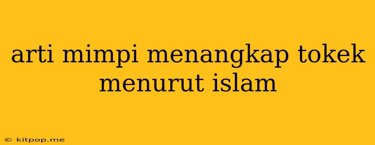 Arti Mimpi Menangkap Tokek Menurut Islam