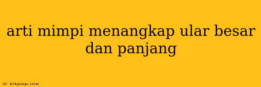 Arti Mimpi Menangkap Ular Besar Dan Panjang