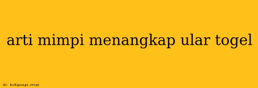 Arti Mimpi Menangkap Ular Togel