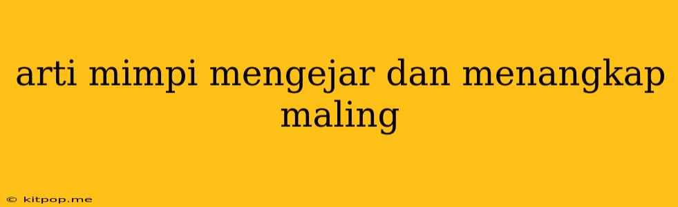 Arti Mimpi Mengejar Dan Menangkap Maling