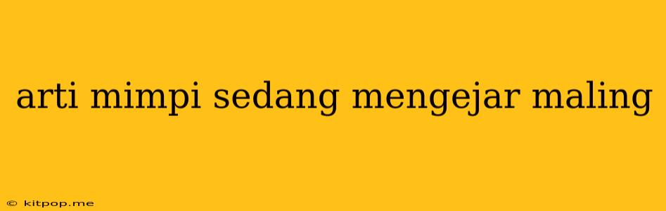 Arti Mimpi Sedang Mengejar Maling