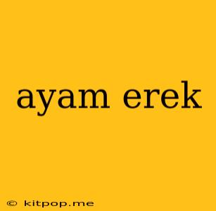 Ayam Erek