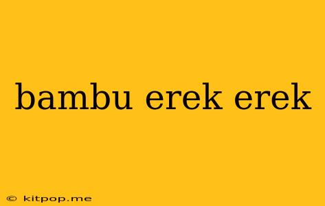 Bambu Erek Erek