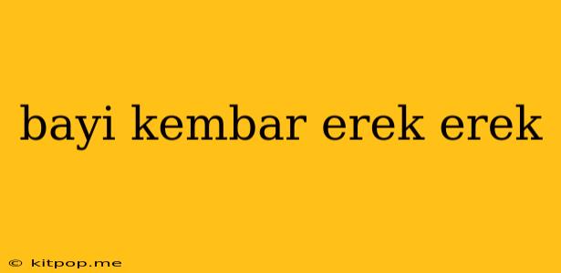 Bayi Kembar Erek Erek