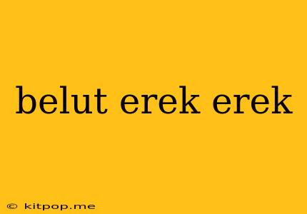 Belut Erek Erek