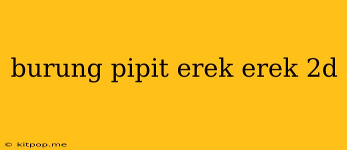 Burung Pipit Erek Erek 2d