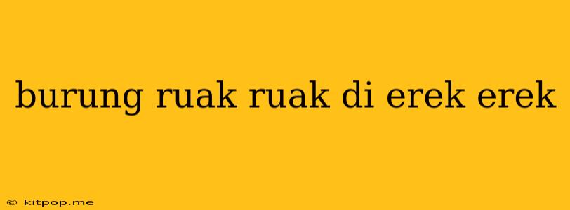 Burung Ruak Ruak Di Erek Erek