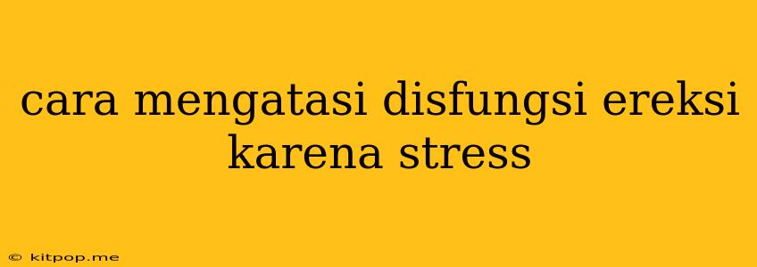 Cara Mengatasi Disfungsi Ereksi Karena Stress