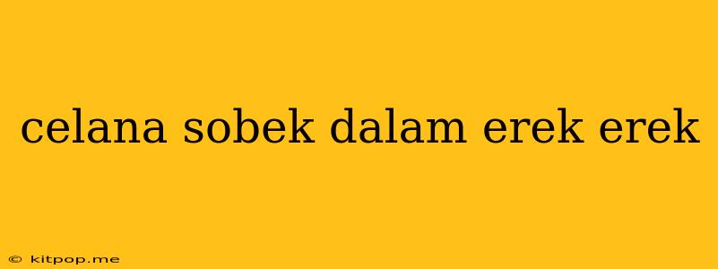 Celana Sobek Dalam Erek Erek