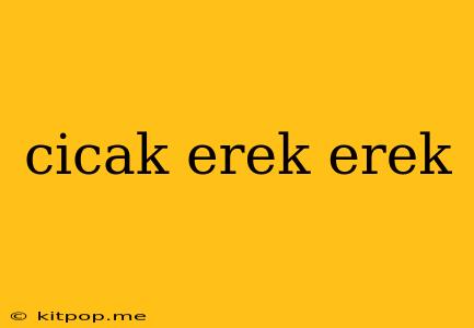 Cicak Erek Erek