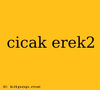 Cicak Erek2