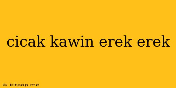 Cicak Kawin Erek Erek