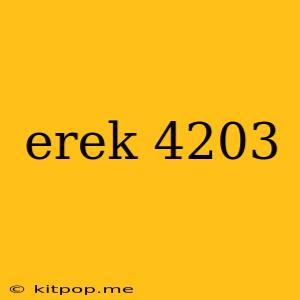 Erek 4203