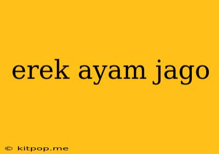 Erek Ayam Jago