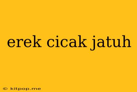 Erek Cicak Jatuh