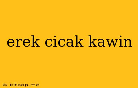 Erek Cicak Kawin